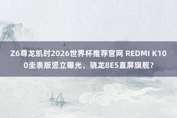 Z6尊龙凯时2026世界杯推荐官网 REDMI K100圭表版竖立曝光，骁龙8E5直屏旗舰？