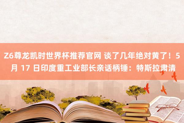 Z6尊龙凯时世界杯推荐官网 谈了几年绝对黄了！5 月 17 日印度重工业部长亲话柄锤：特斯拉肃清