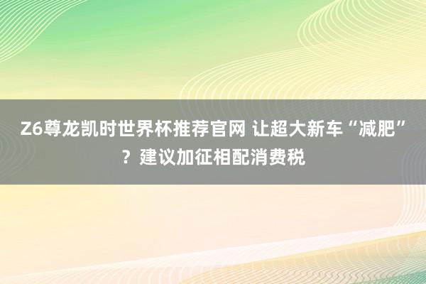 Z6尊龙凯时世界杯推荐官网 让超大新车“减肥”？建议加征相配消费税