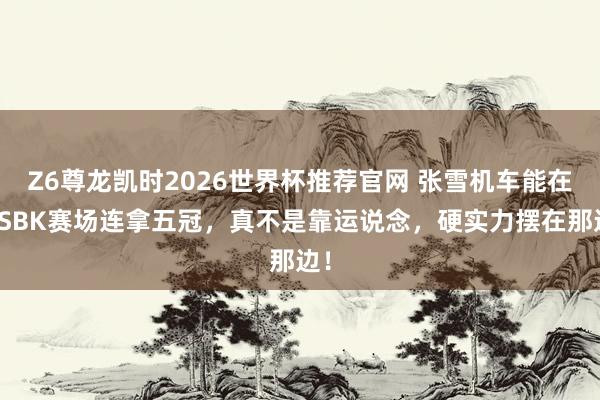 Z6尊龙凯时2026世界杯推荐官网 张雪机车能在WSBK赛场连拿五冠，真不是靠运说念，硬实力摆在那边！