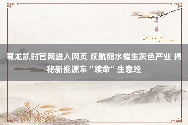 尊龙凯时官网进入网页 续航缩水催生灰色产业 揭秘新能源车“续命”生意经