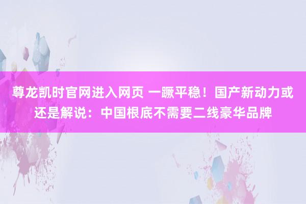 尊龙凯时官网进入网页 一蹶平稳！国产新动力或还是解说：中国根底不需要二线豪华品牌