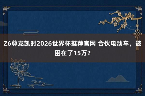 Z6尊龙凯时2026世界杯推荐官网 合伙电动车，被困在了15万？