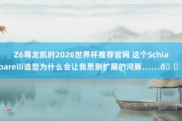 Z6尊龙凯时2026世界杯推荐官网 这个Schiaparelli造型为什么会让我思到扩展的河豚……🐡