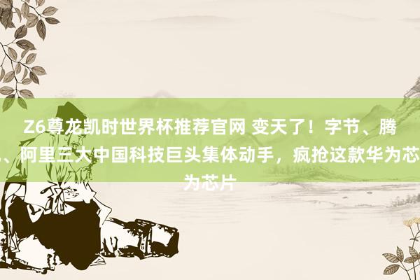 Z6尊龙凯时世界杯推荐官网 变天了！字节、腾讯、阿里三大中国科技巨头集体动手，疯抢这款华为芯片