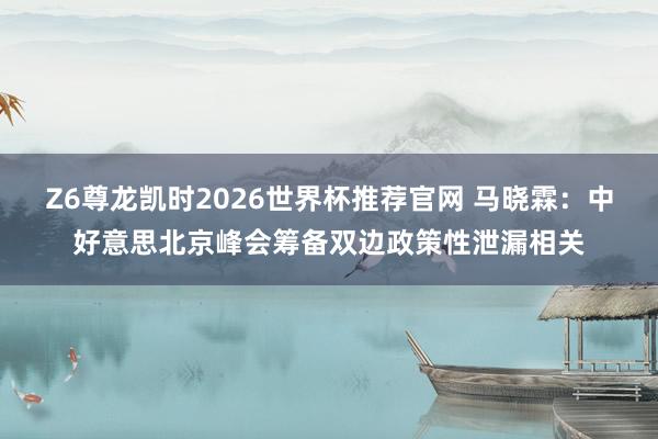 Z6尊龙凯时2026世界杯推荐官网 马晓霖：中好意思北京峰会筹备双边政策性泄漏相关