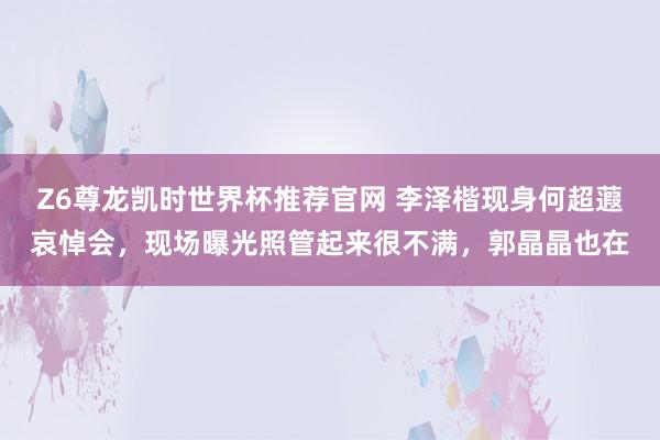 Z6尊龙凯时世界杯推荐官网 李泽楷现身何超蕸哀悼会，现场曝光照管起来很不满，郭晶晶也在