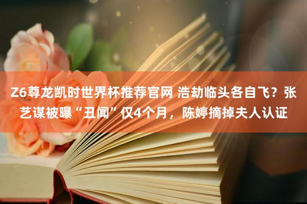 Z6尊龙凯时世界杯推荐官网 浩劫临头各自飞？张艺谋被曝“丑闻”仅4个月，陈婷摘掉夫人认证