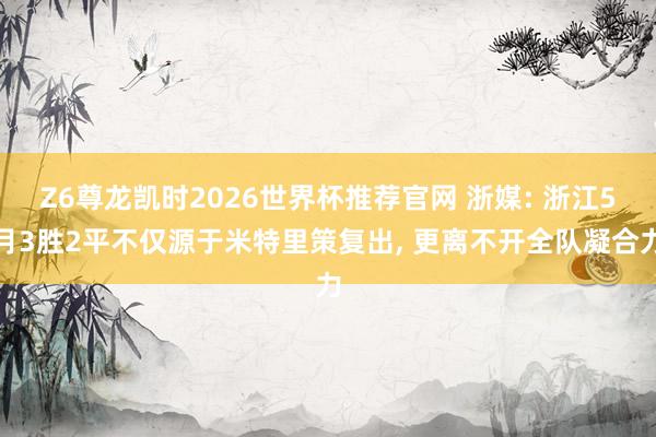 Z6尊龙凯时2026世界杯推荐官网 浙媒: 浙江5月3胜2平不仅源于米特里策复出， 更离不开全队凝合力