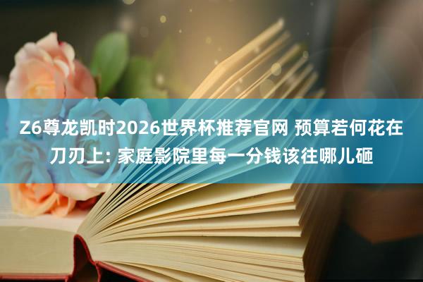 Z6尊龙凯时2026世界杯推荐官网 预算若何花在刀刃上: 家庭影院里每一分钱该往哪儿砸