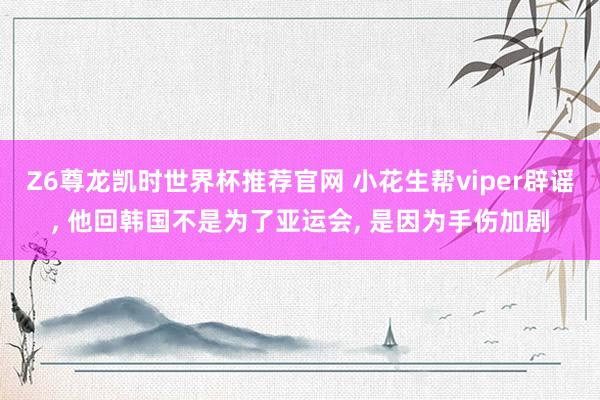 Z6尊龙凯时世界杯推荐官网 小花生帮viper辟谣， 他回韩国不是为了亚运会， 是因为手伤加剧