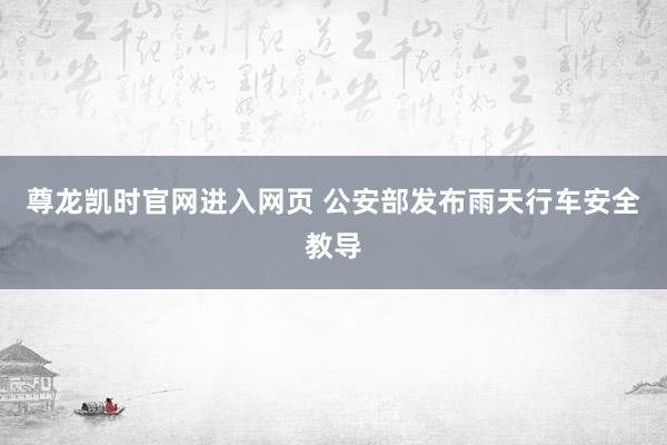 尊龙凯时官网进入网页 公安部发布雨天行车安全教导