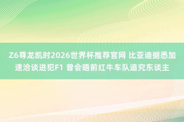 Z6尊龙凯时2026世界杯推荐官网 比亚迪据悉加速洽谈进犯F1 曾会晤前红牛车队追究东谈主