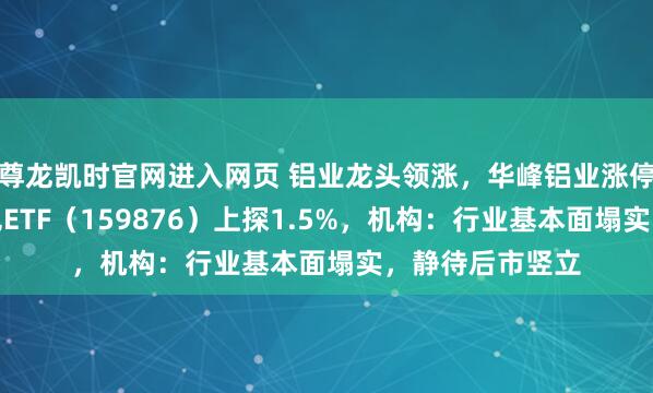 尊龙凯时官网进入网页 铝业龙头领涨，华峰铝业涨停！华宝基金有色ETF（159876）上探1.5%，机构：行业基本面塌实，静待后市竖立