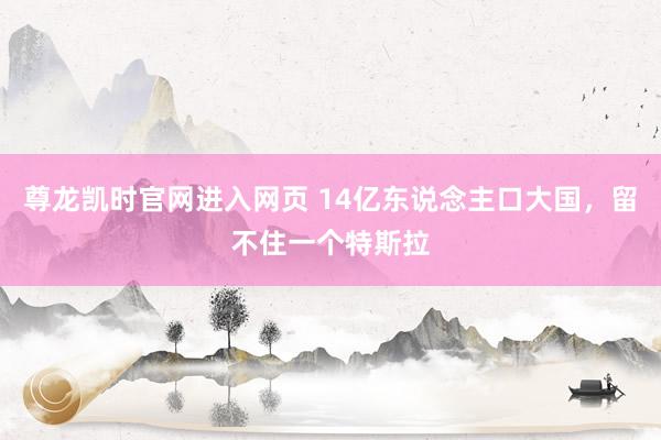 尊龙凯时官网进入网页 14亿东说念主口大国，留不住一个特斯拉