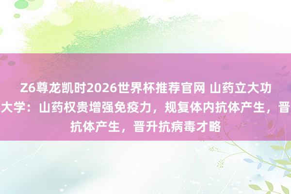 Z6尊龙凯时2026世界杯推荐官网 山药立大功!山东中医药大学:山药权贵增强免疫力,规复体内抗体产生,晋升抗病毒才略