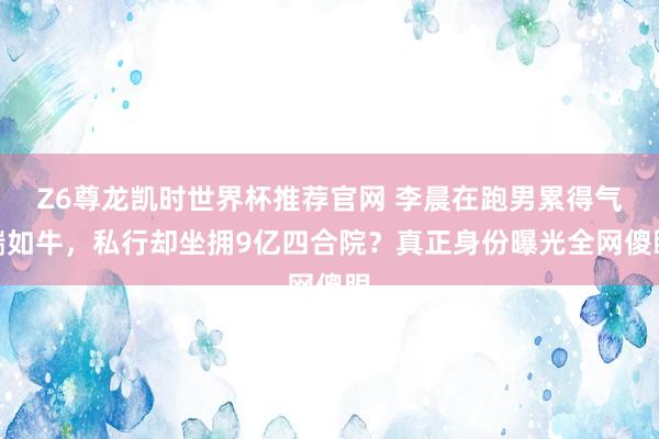 Z6尊龙凯时世界杯推荐官网 李晨在跑男累得气喘如牛,私行却坐拥9亿四合院?真正身份曝光全网傻眼