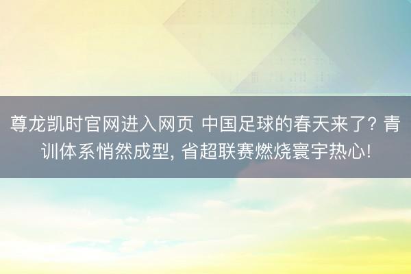 尊龙凯时官网进入网页 中国足球的春天来了? 青训体系悄然成型， 省超联赛燃烧寰宇热心!