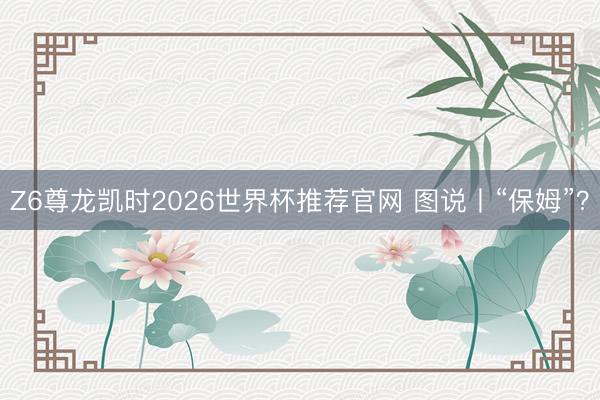 Z6尊龙凯时2026世界杯推荐官网 图说丨“保姆”？