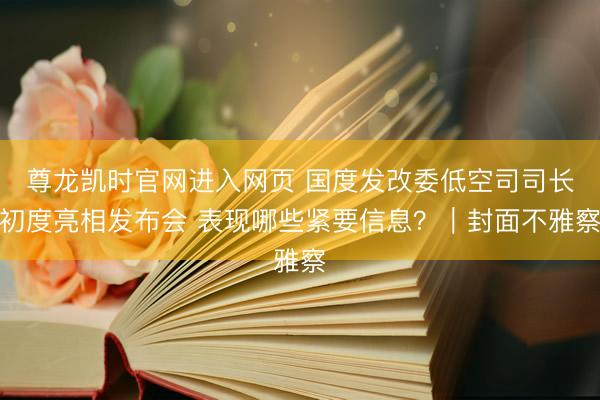 尊龙凯时官网进入网页 国度发改委低空司司长初度亮相发布会 表现哪些紧要信息?|封面不雅察