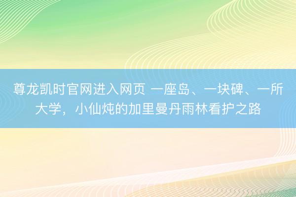 尊龙凯时官网进入网页 一座岛、一块碑、一所大学，小仙炖的加里曼丹雨林看护之路