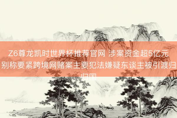 Z6尊龙凯时世界杯推荐官网 涉案资金超5亿元，别称要紧跨境网赌案主要犯法嫌疑东谈主被引渡归国